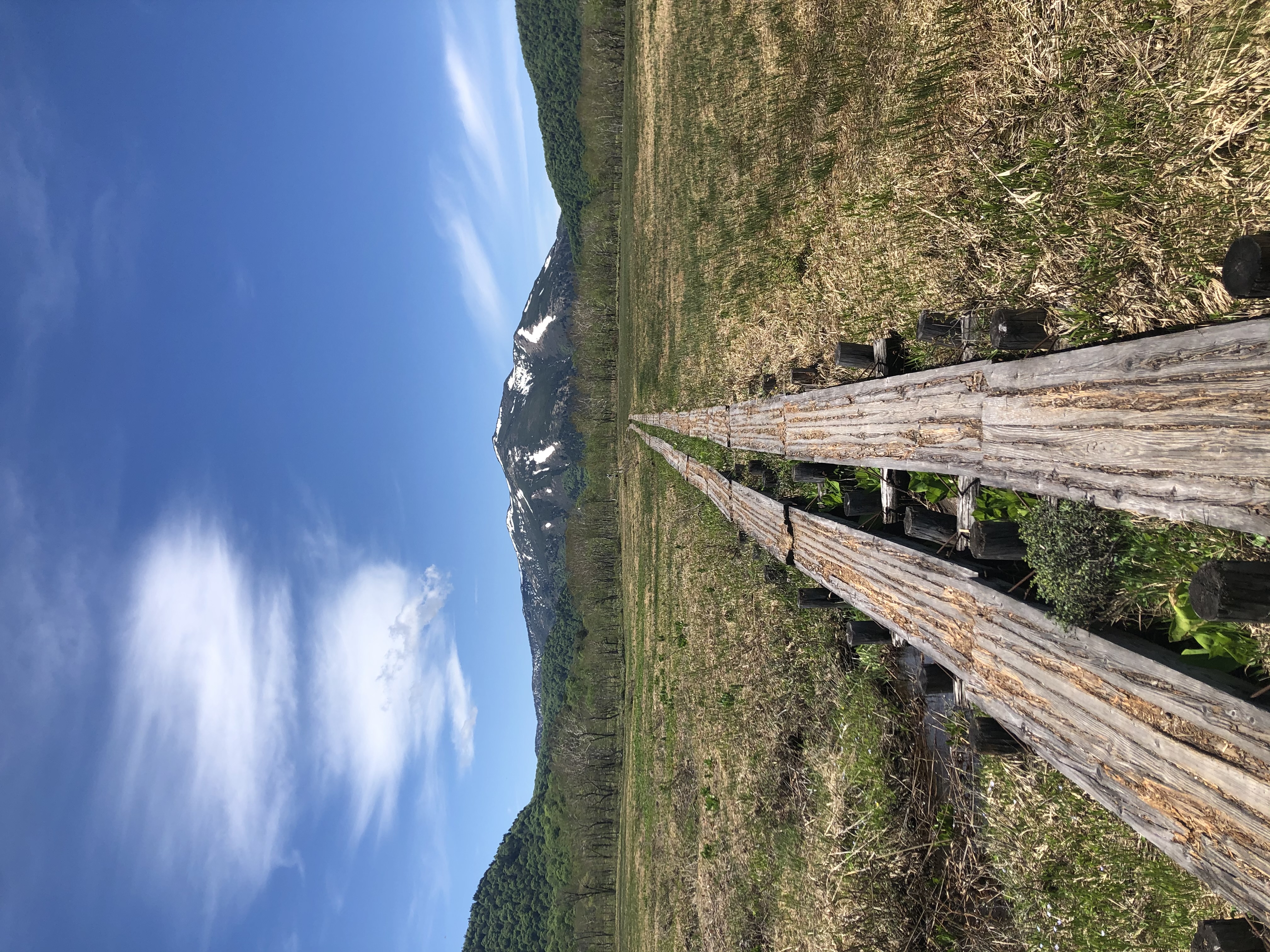 Travel旅行と外出