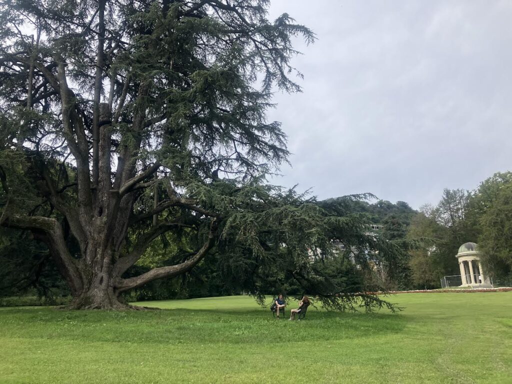 Villa　Olmoの庭園