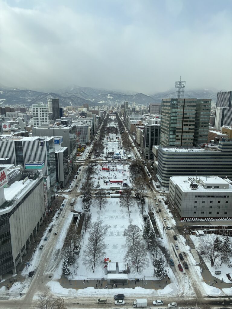 テレビ塔から大通りの眺め