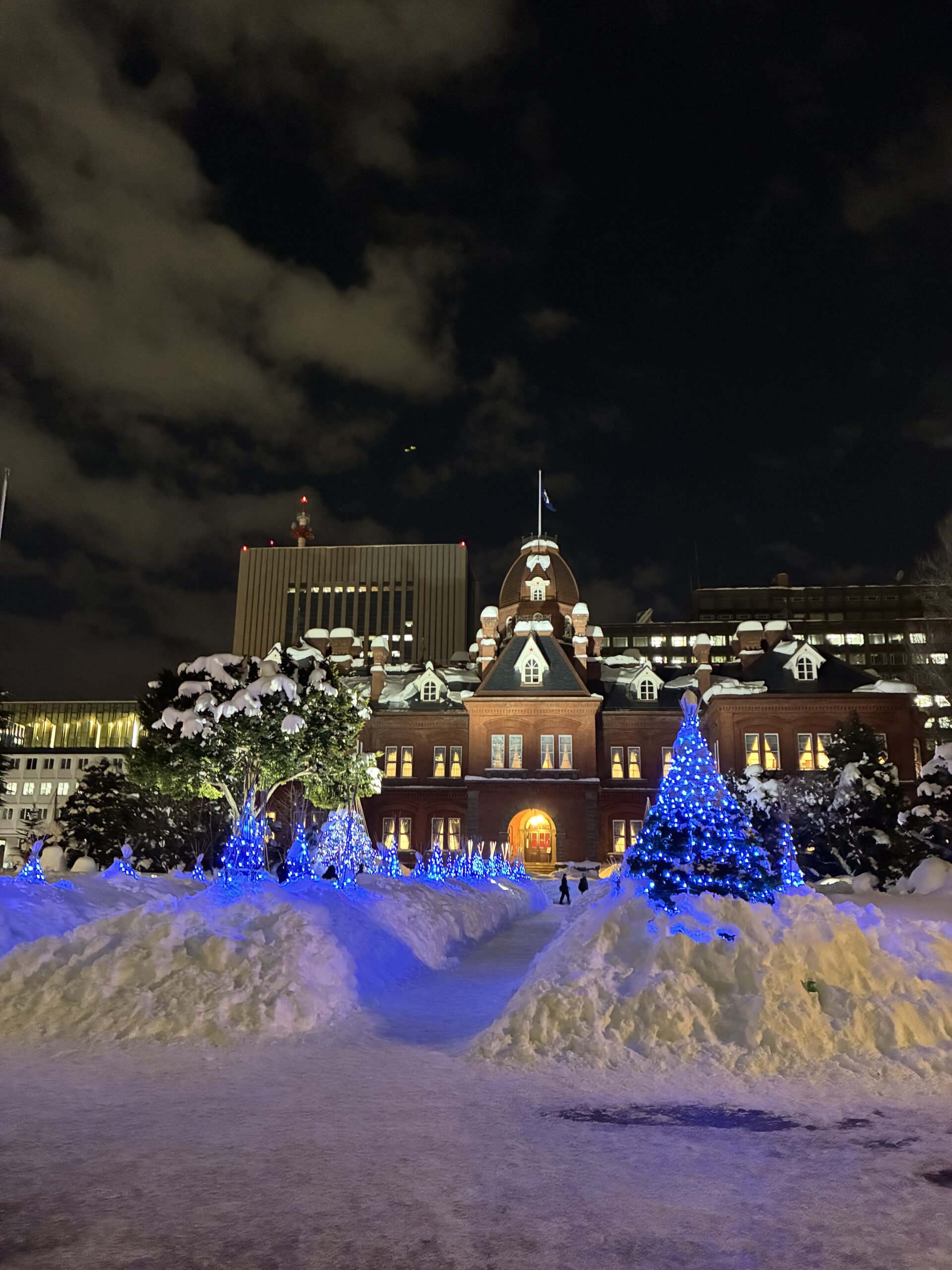 さっぽろの夜の雪景色