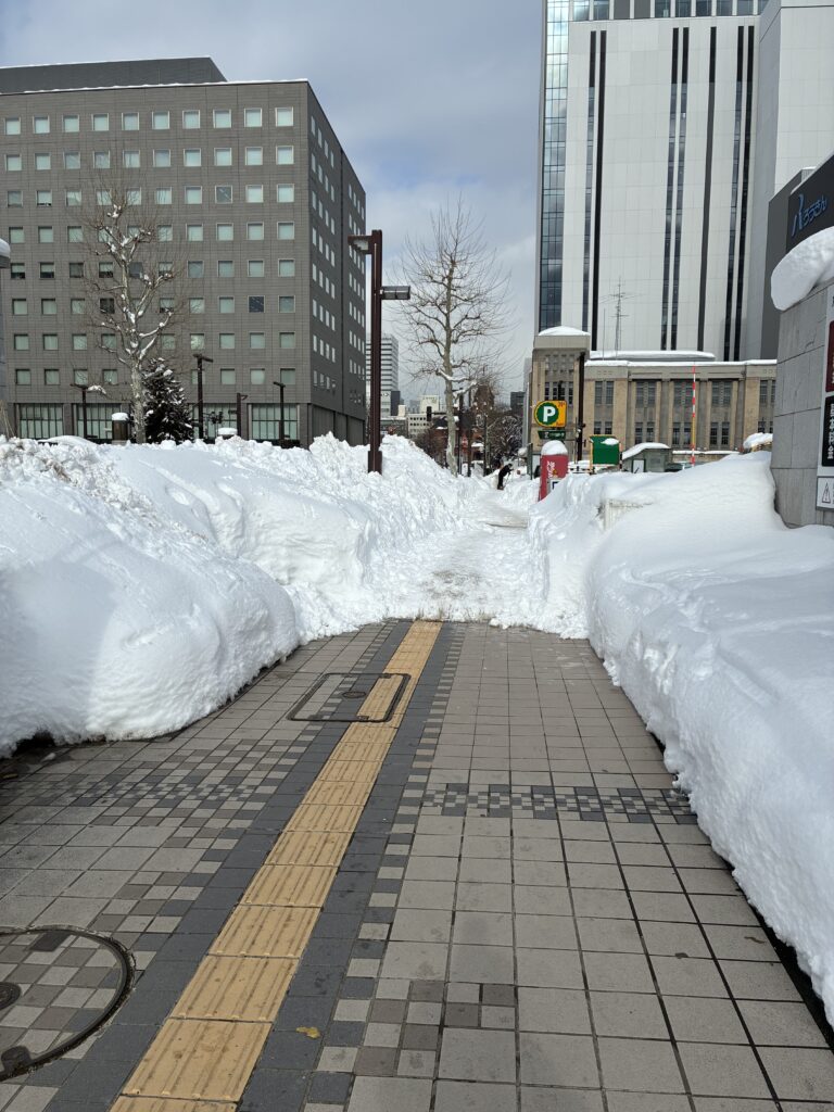 雪の積もった歩道