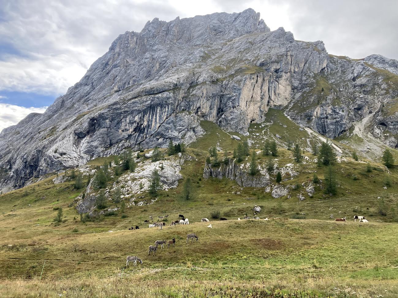 マルモラーダという山
