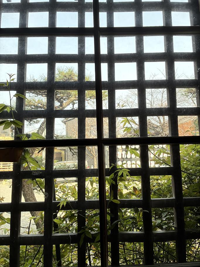 拝殿から外を眺める