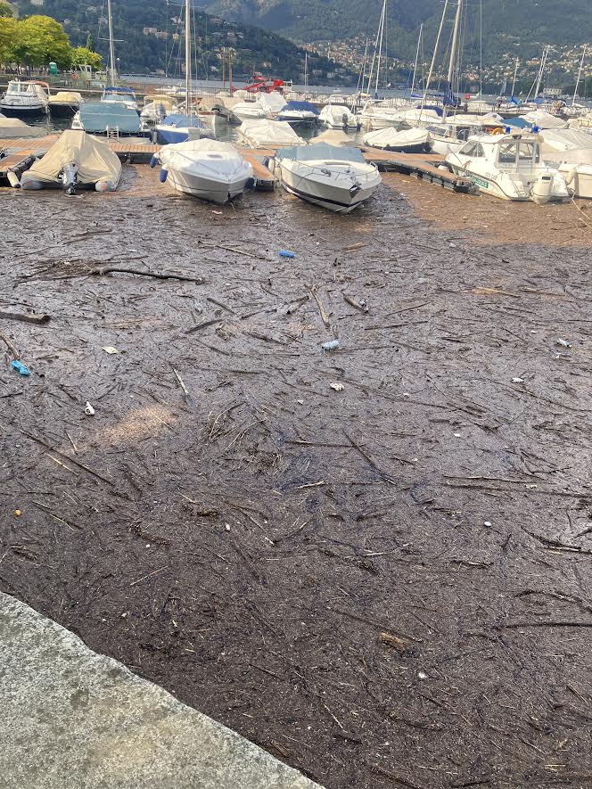 コモ湖に浮かぶごみ