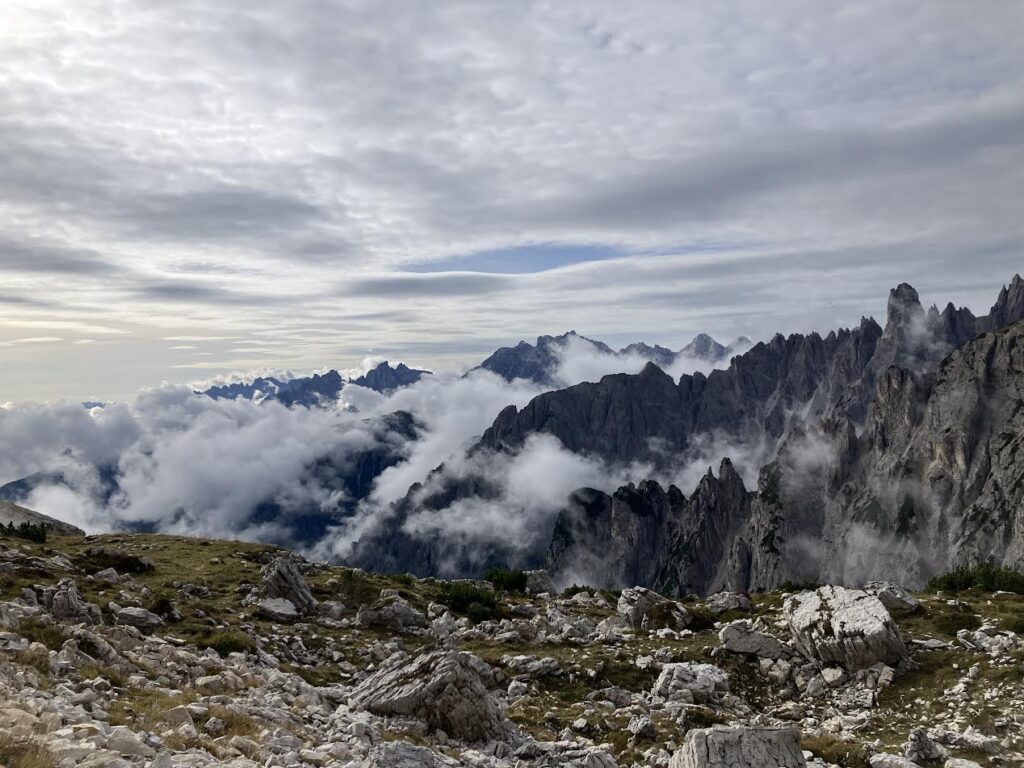 画像に alt 属性が指定されていません。ファイル名: tore1-1024x768.jpg