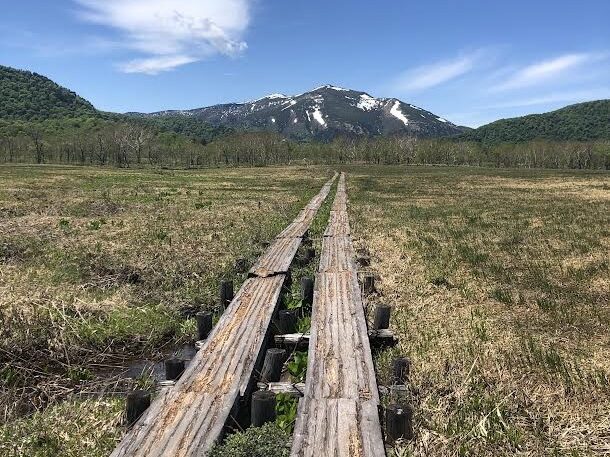 尾瀬の木道