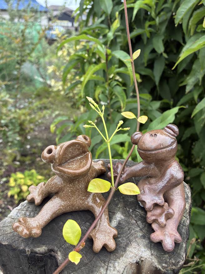 カエルの置物と、夏らしいツタの葉っぱ